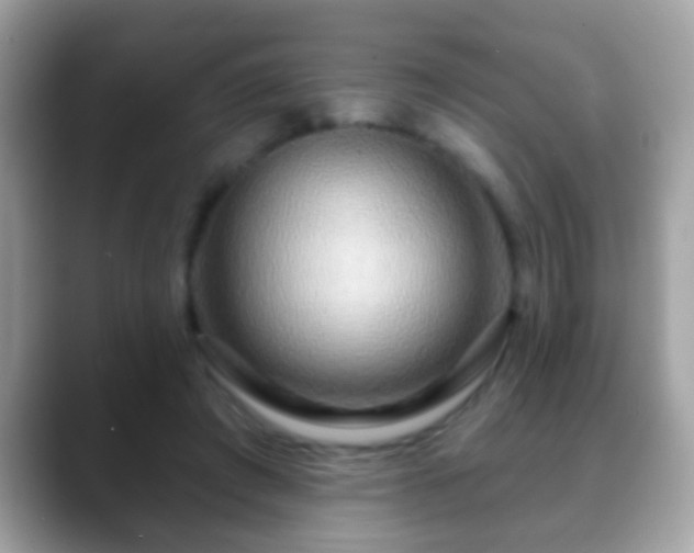 X0000088630401200706011148