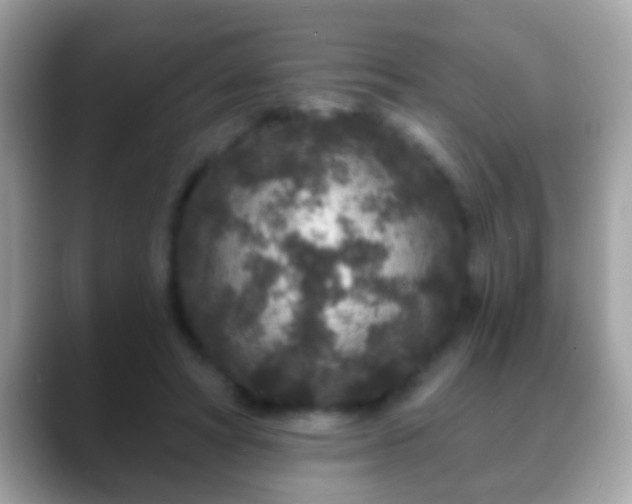 X0000088630402200706011148