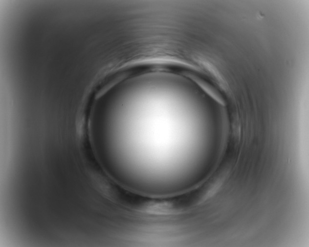 X0000088630403200706011148