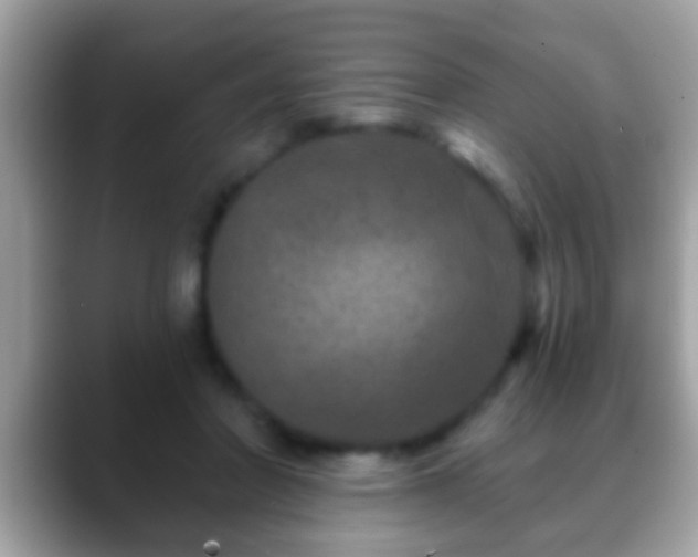 X0000088630406200706011148