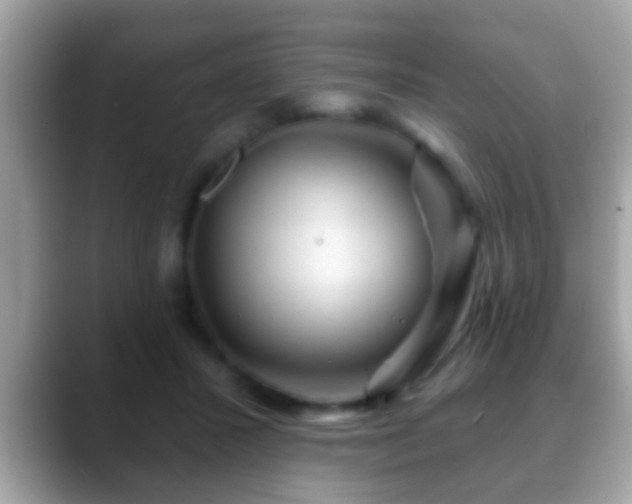 X0000088630407200706011148