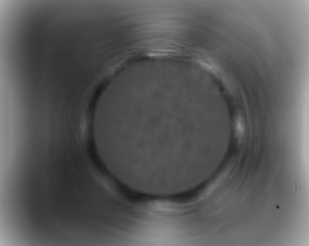 X0000088630408200706011148