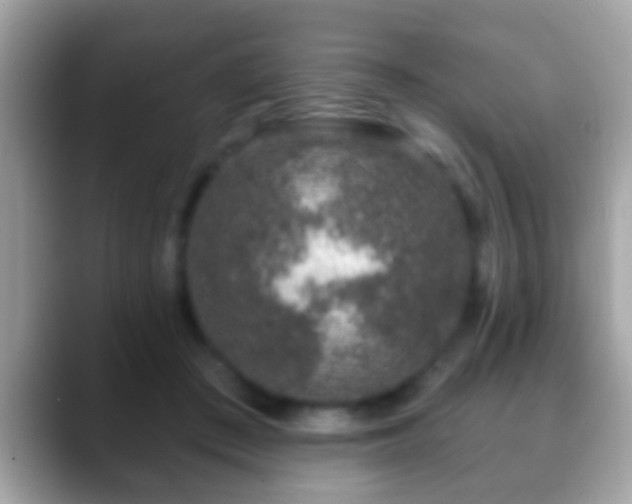 X0000088630409200706011148