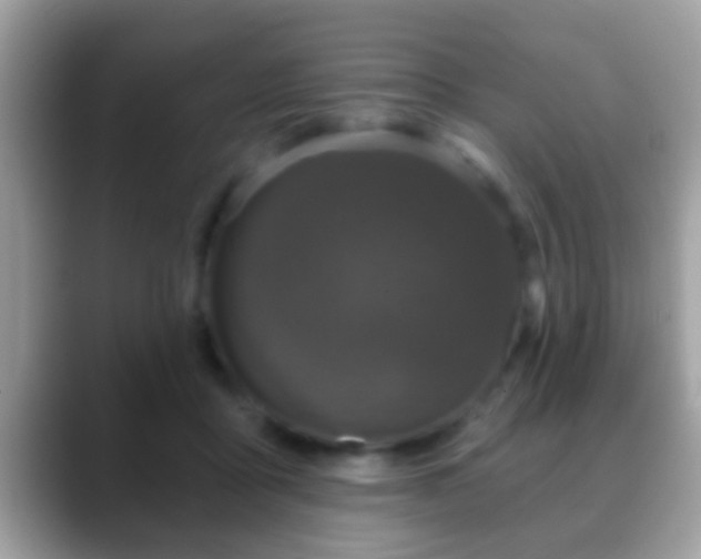 X0000088630411200706011148