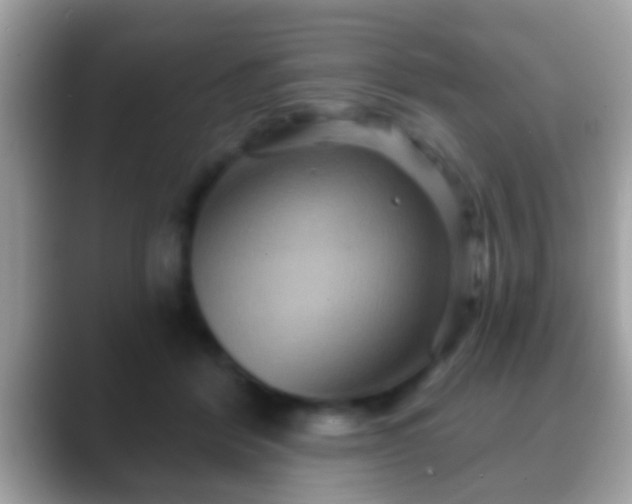 X0000088630412200706011148