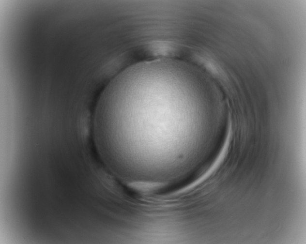 X0000088630413200706011148