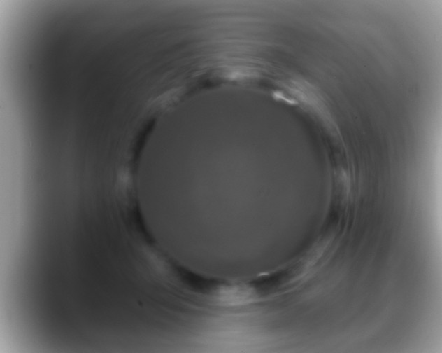 X0000088630415200706011148