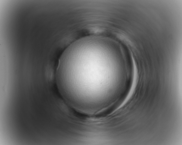 X0000088630417200706011148