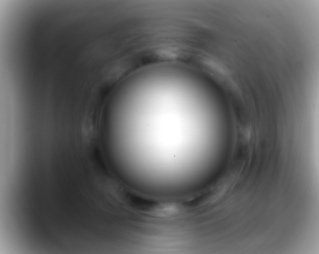 X0000088630418200706011148