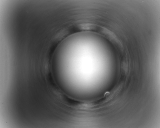 X0000088630422200706011148