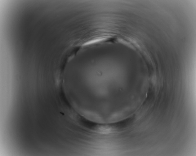 X0000088630423200706011148