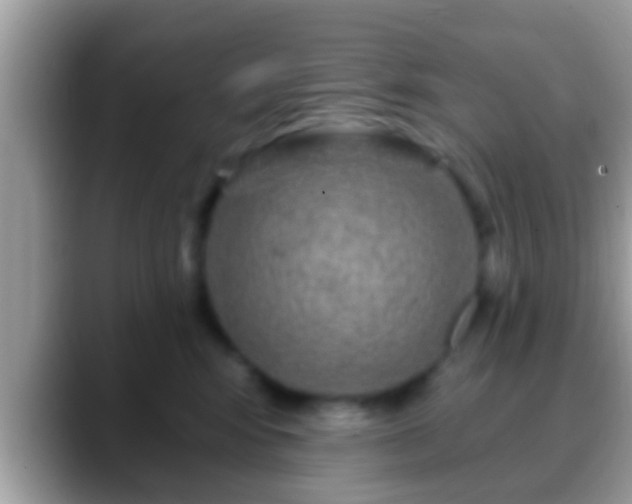 X0000088630424200706011148