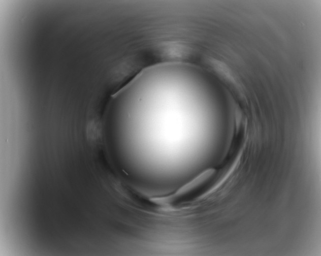 X0000088630425200706011148