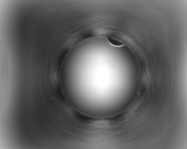 X0000088630426200706011148