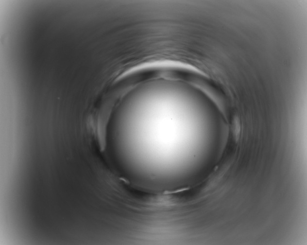 X0000088630428200706011148