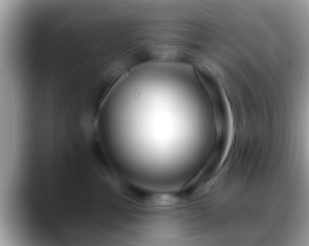 X0000088630429200706011148