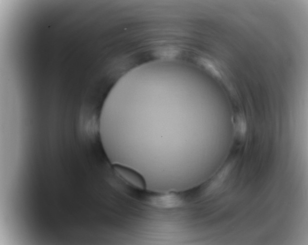 X0000088630431200706011148