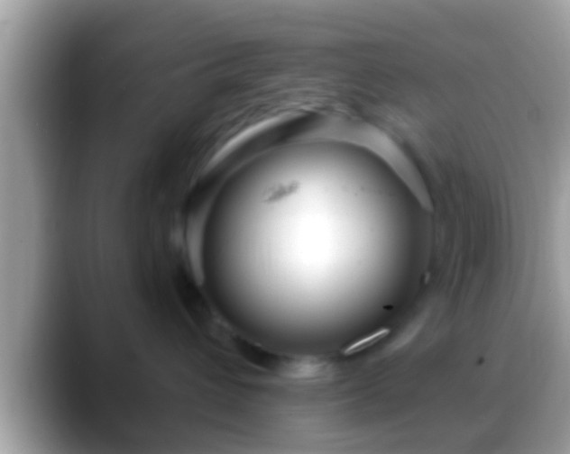 X0000088630432200706011148