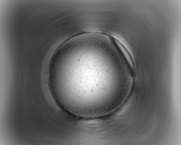 X0000088630433200706011147