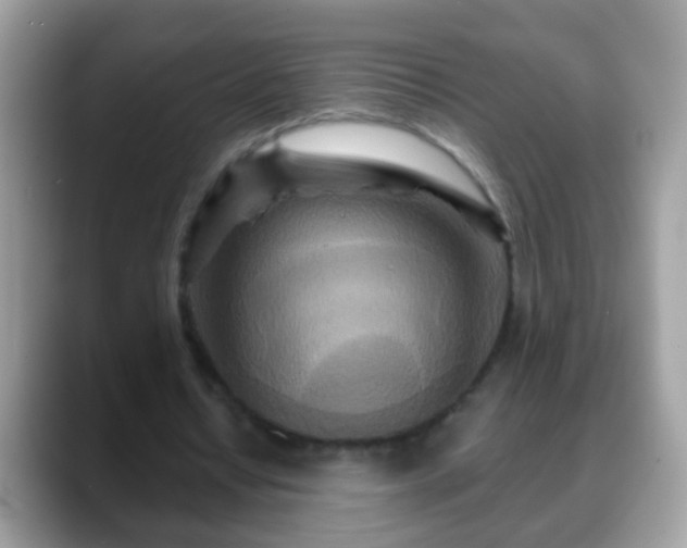 X0000088630434200706011147