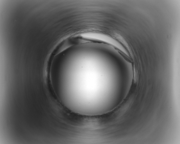 X0000088630435200706011147