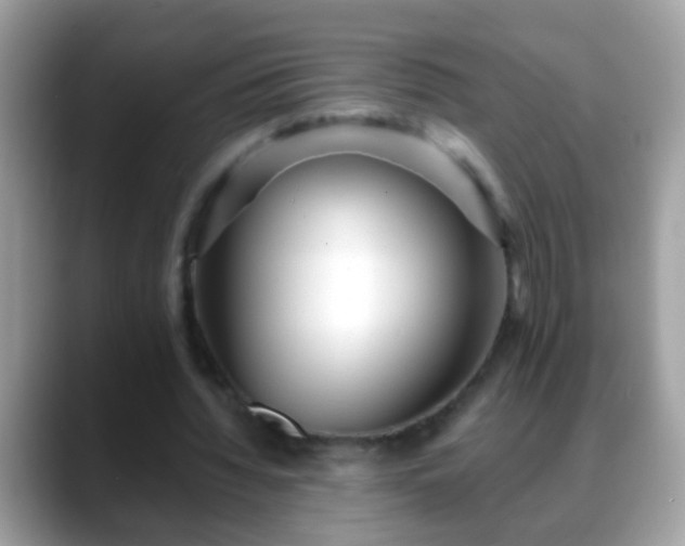 X0000088630436200706011147