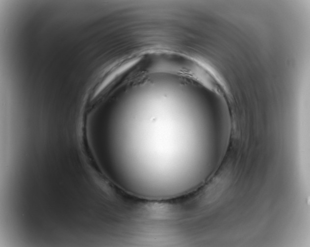 X0000088630437200706011147