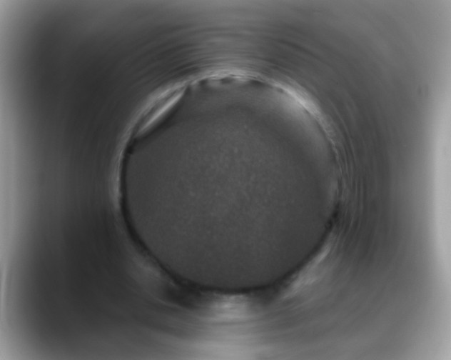 X0000088630438200706011147