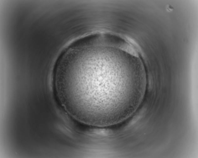 X0000088630439200706011147