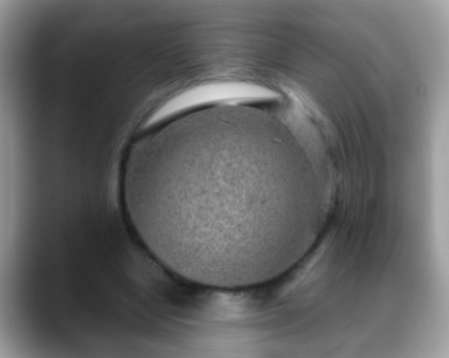 X0000088630442200706011147