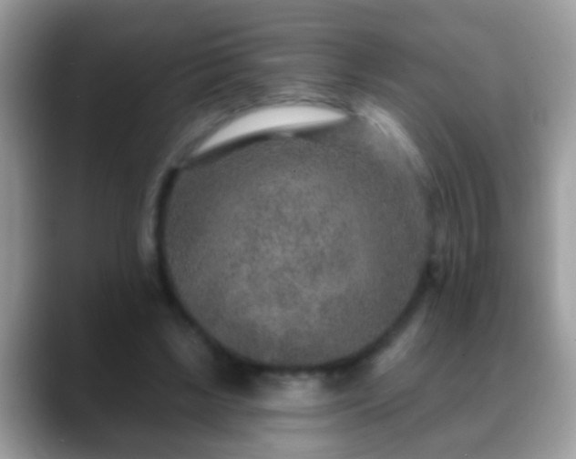 X0000088630443200706011147