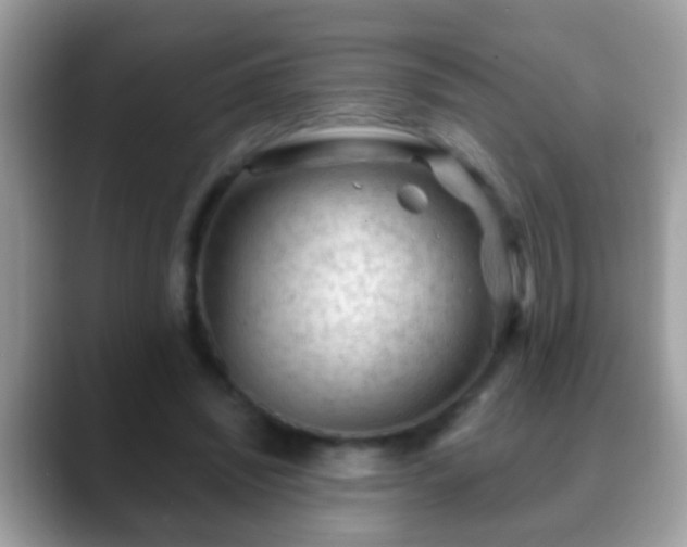 X0000088630444200706011147