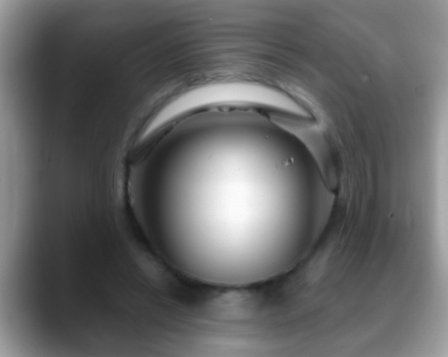 X0000088630446200706011147