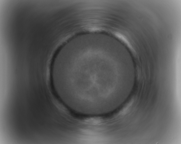 X0000088630447200706011147