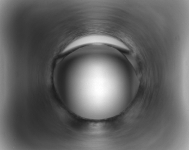 X0000088630450200706011147