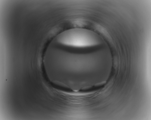 X0000088630451200706011147