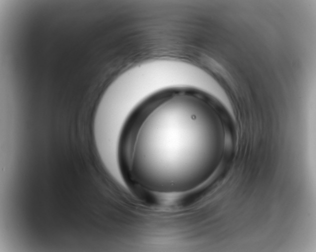 X0000088630452200706011147