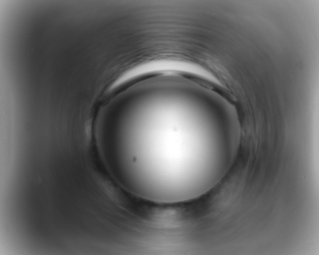 X0000088630454200706011147