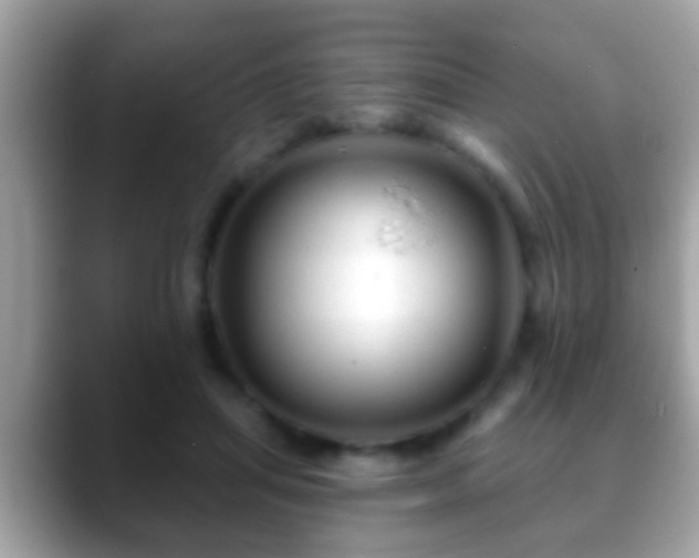 X0000088630455200706011147