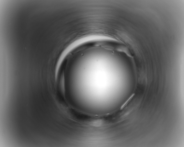 X0000088630456200706011147