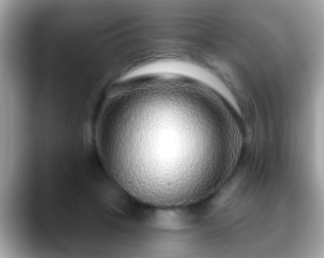 X0000088630457200706011147