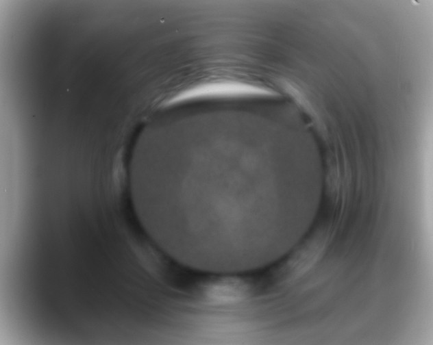 X0000088630459200706011147