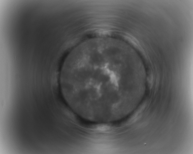 X0000088630462200706011148