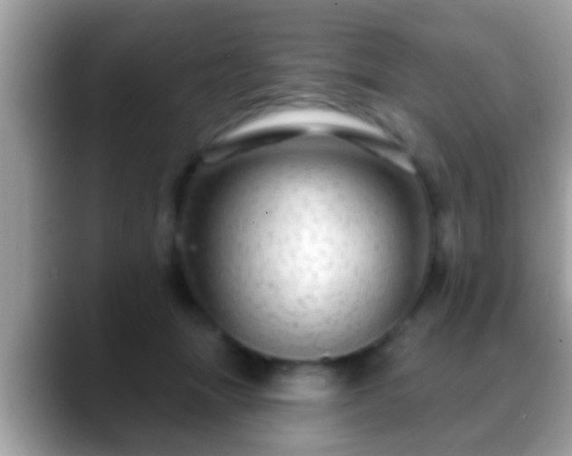 X0000088630463200706011148