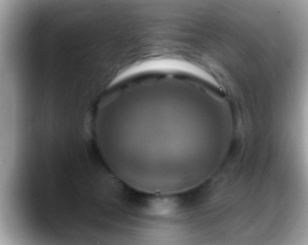 X0000088630465200706011148