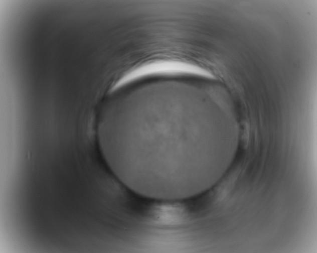 X0000088630466200706011148