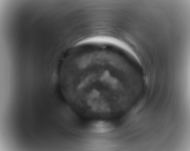 X0000088630467200706011148