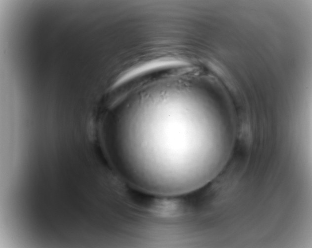 X0000088630469200706011148