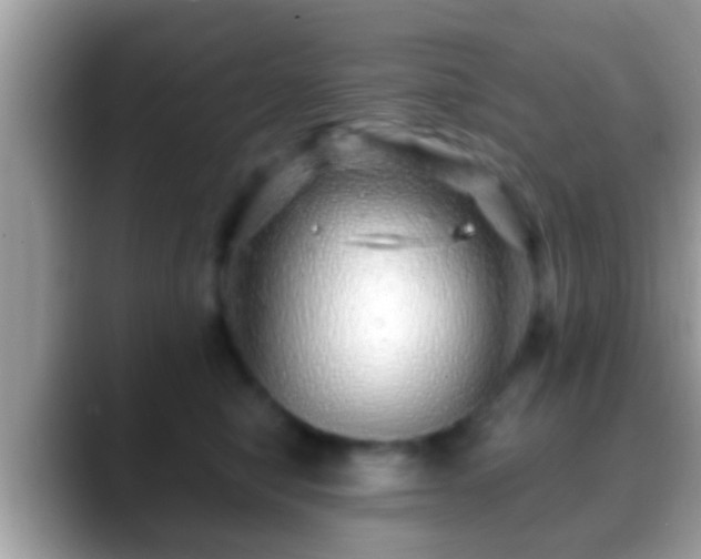 X0000088630470200706011148