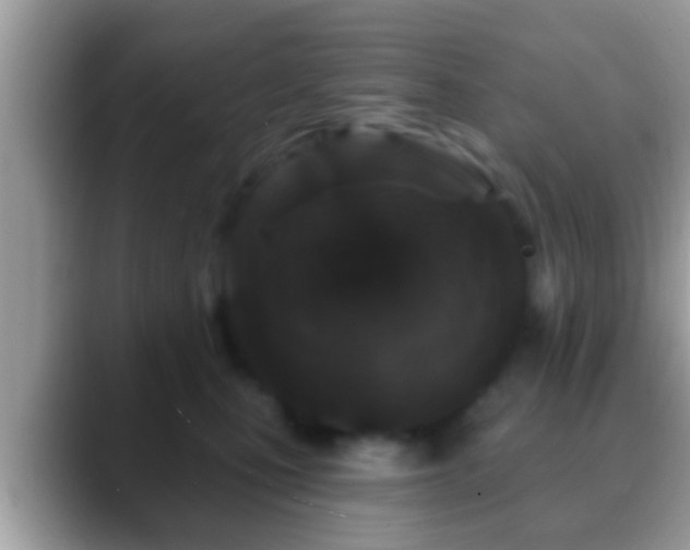 X0000088630471200706011148